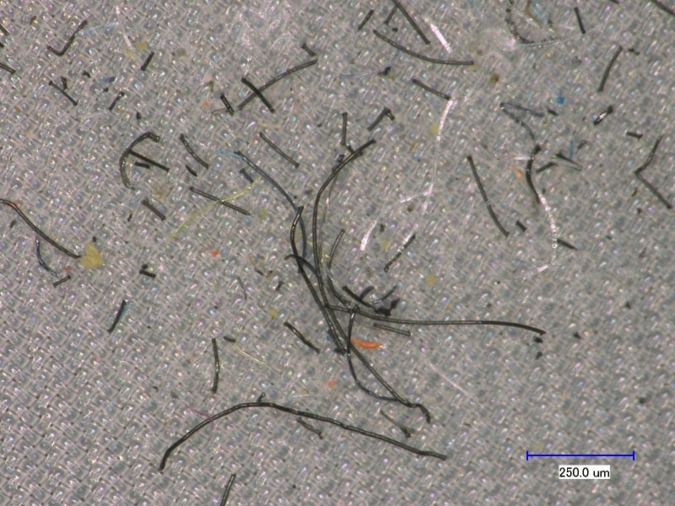 textiles-Mikroplastik.jpg