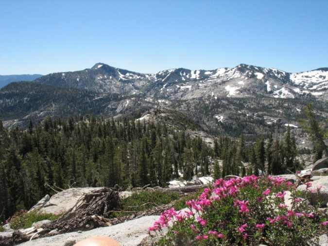 PCTA. Indian Heaven Wilderness Mark Larabee