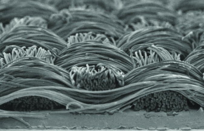 Techtextil/Texprocess 2015: Invista