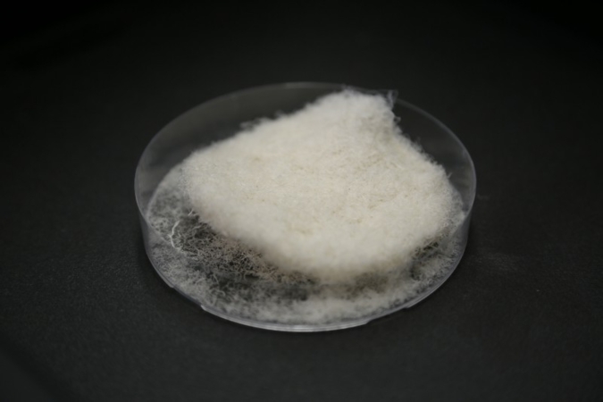 Photos: Hohensteiner Institute HMU/IHB