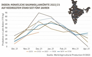 Baumwollankuenfte-202223.jpg