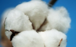 Das ITMF tagte jetzt in Bremen (Photo: textile network Archiv)