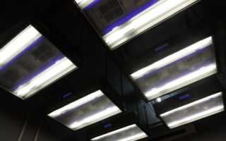 Malti Rugs installierte ein X-Rite Raum mit Spectrallicht QC Photos: Malti Rugs