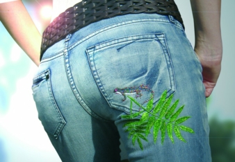 10.08.2015: Neuheiten im Doppelpack