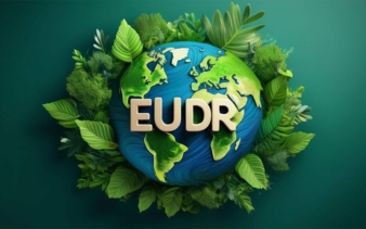 EUDR-Icon--Copyright-Charlie-Waradee--Stock-adobe-com-generiert-mit-KI.jpg
