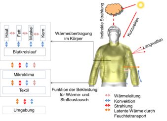 Abb. 1: Thermische Regulation zwischen Mensch, Bekleidung und Umgebung