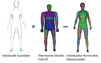 Abb. 5: Generierung eines individuellen thermischen Menschmodells (Testperson 1)
